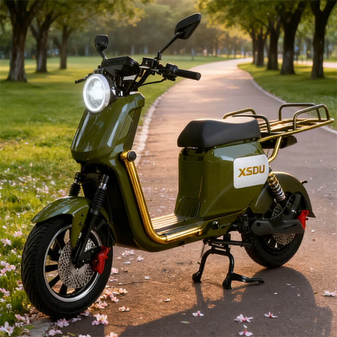 Electric City Bike 750W 48V Hybrid Bicycle with Cargo Rack 