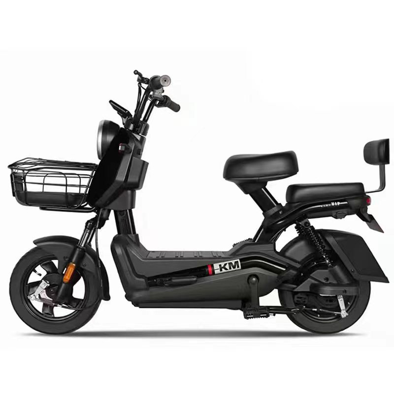 City Electric Bike Adult 2 Seater Electric Bike 