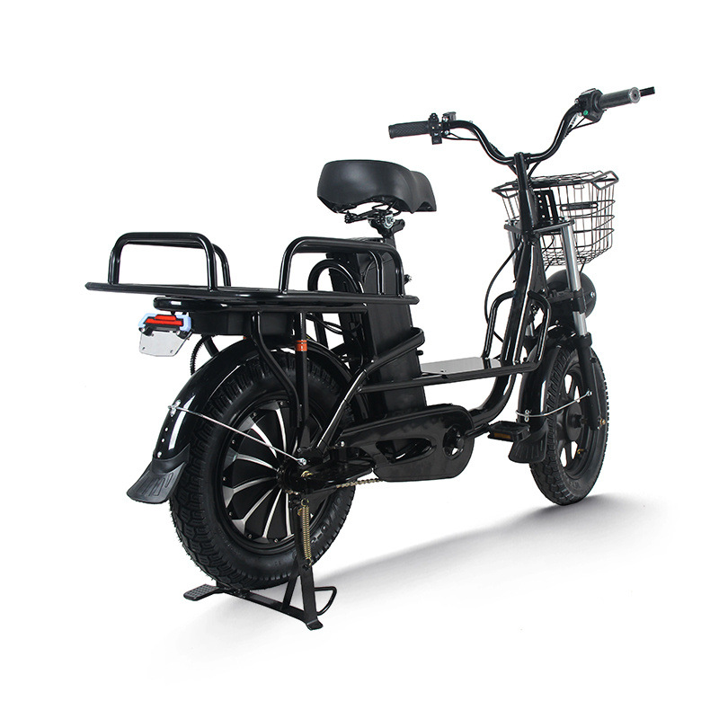 Electric Delivery Bike Popular Supplier 1000w 800w Electric Bike Fast Electric Bicycles for Adults