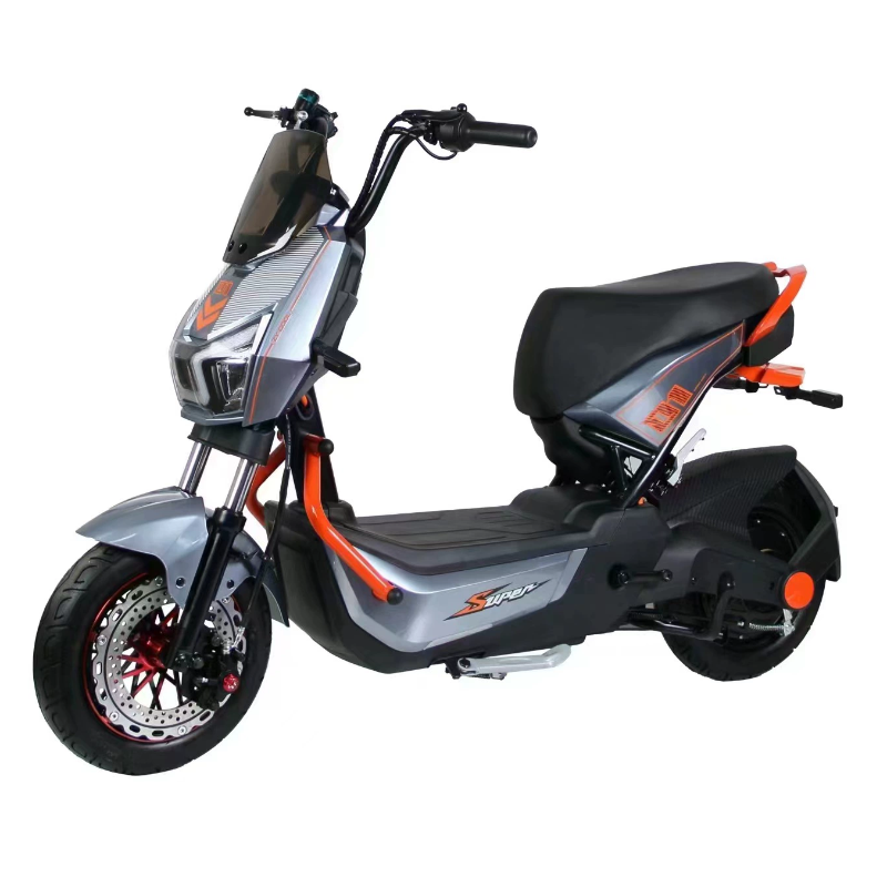 OEM Off-Road Electric Bicycle and Motorcycle with 1000W Motor Power 48V Electronic Smart Type Lead-Acid Battery Ebike Moped 