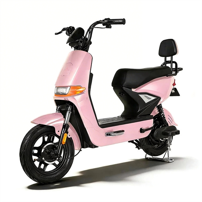 China Hot Selling Electric Scooter Motorcycle 800W-1000W 48v/60v Electrical Bicycle for Sale