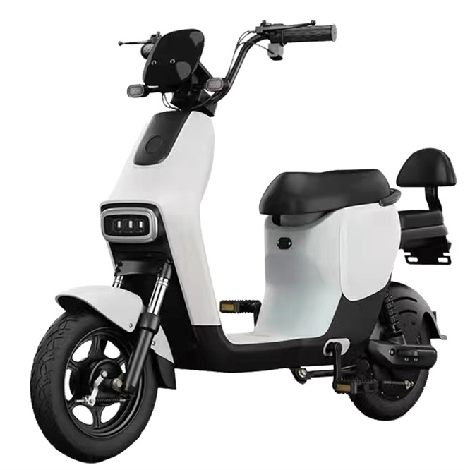 Best Selling Brushless Rear Hub Motor 350W Lead Acid Battery 3 Speed Electric City Bike for Adults 