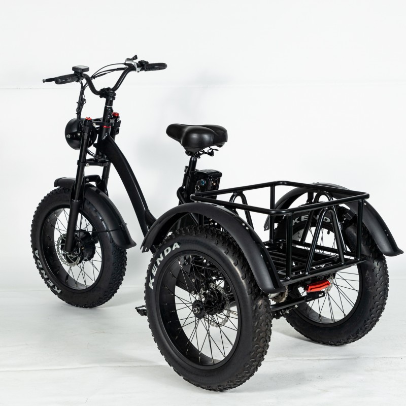 Wholesaler Adults 750W/500W 3 Wheel Passenger Rickshaw Cargo Electric Tricycle with Steel Frame Alloy Rim Fat Tire Chinese