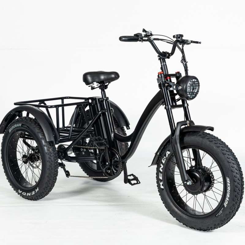 Wholesaler Adults 750W/500W 3 Wheel Passenger Rickshaw Cargo Electric Tricycle with Steel Frame Alloy Rim Fat Tire Chinese 