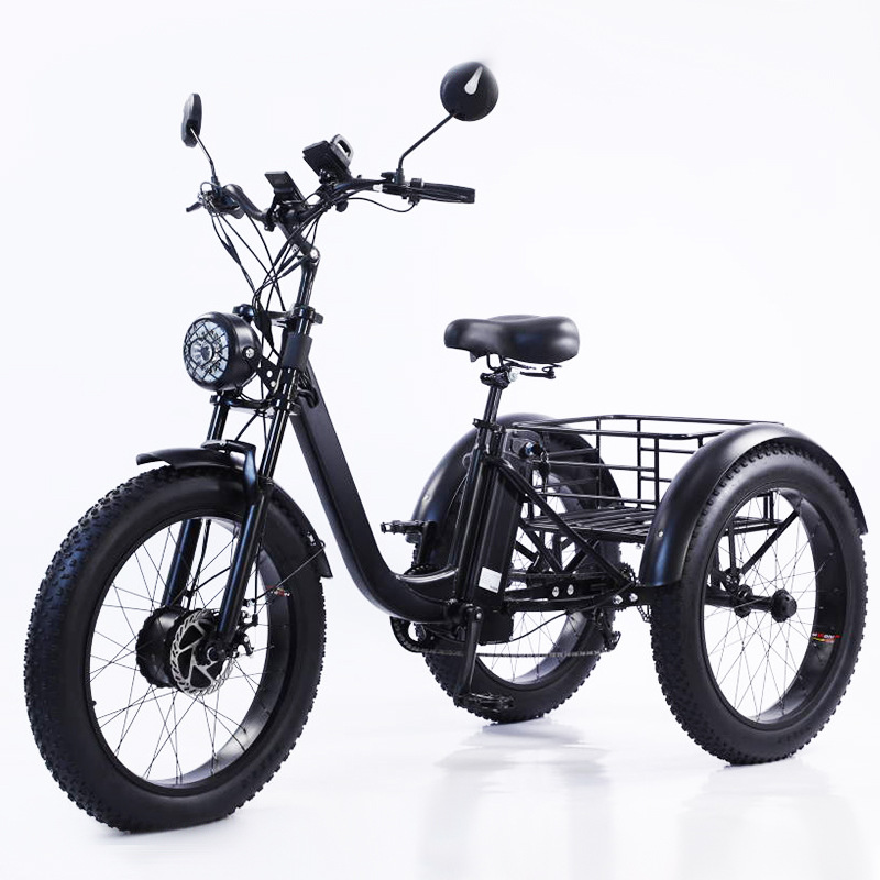 Wholesaler Adults 750W/500W 3 Wheel Passenger Rickshaw Cargo Electric Tricycle with Steel Frame Alloy Rim Fat Tire Chinese 