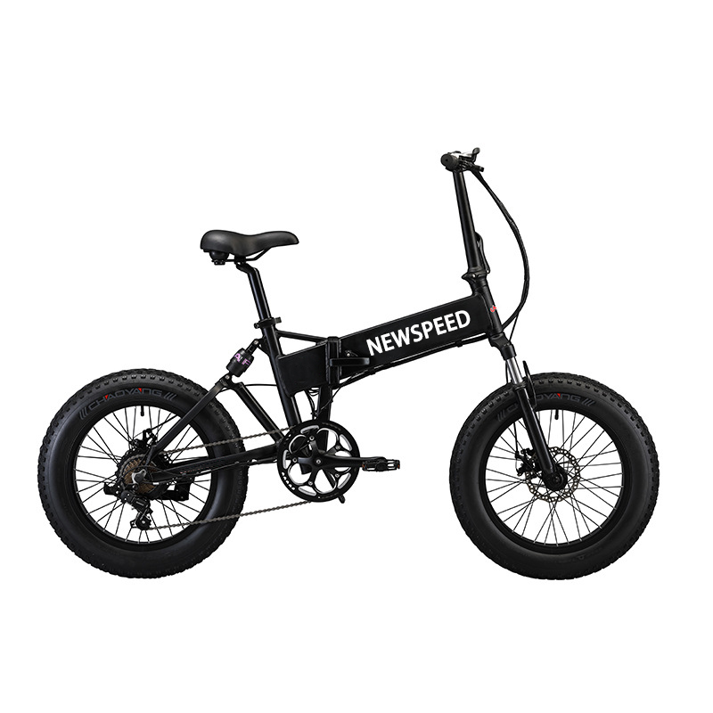 Foldable Electric Bicycle 20 Inch Snow Bike 48V 1000W 10AH Battery Ebike E Bike