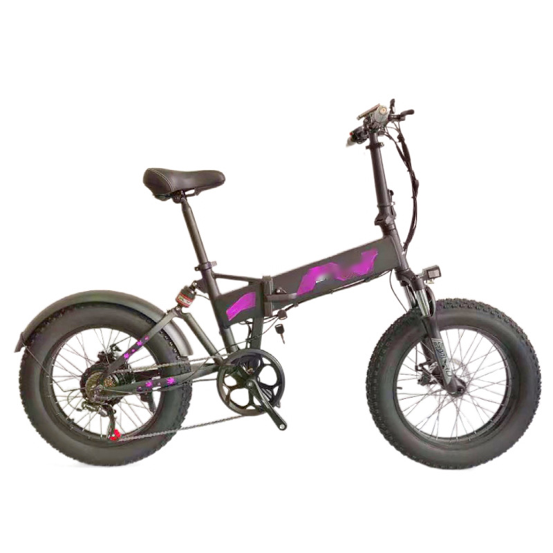 Foldable Electric Bicycle 20 Inch Snow Bike 48V 1000W 10AH Battery Ebike E Bike 
