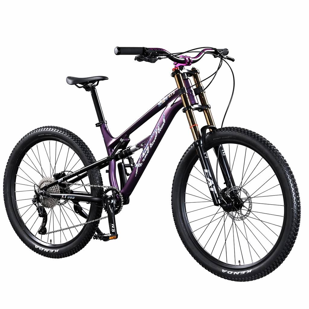 NEWspeed Best Selling Full Suspension Double Disc Brake Snow Bicycle 26inch Fat Bike Cross-country