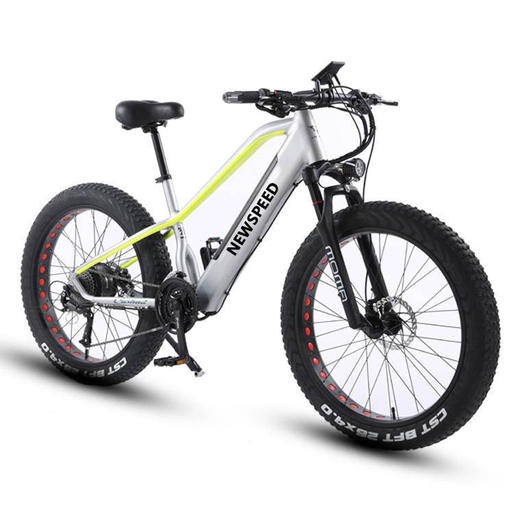 Hot Sale Classic Electric Fat Tire Bike with Integrated Battery High-Power Motor Long Range 