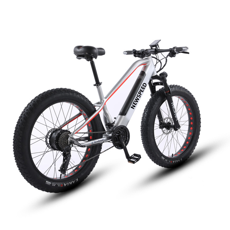 Hot Sale Classic Electric Fat Tire Bike with Integrated Battery High-Power Motor Long Range 