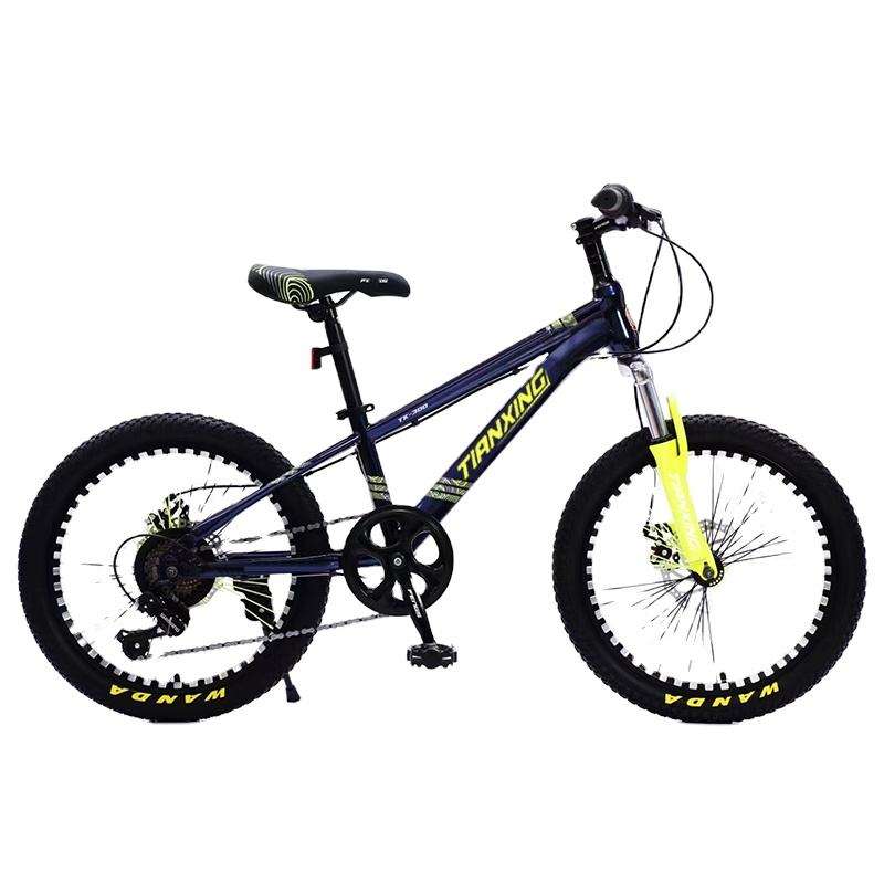 Free Shipping High Carbon Steel Frame Bysicle Bicycle 20/22 Inch  Bicycle//velo Vtt Cycle for Men and Women