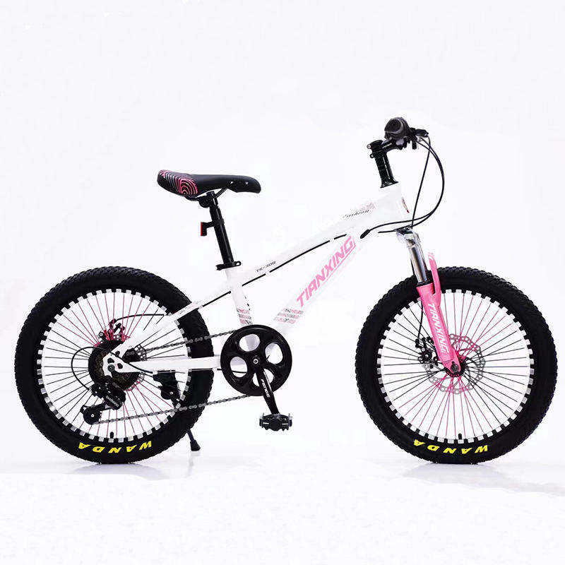 Free Shipping High Carbon Steel Frame Bysicle Bicycle 20/22 Inch  Bicycle//velo Vtt Cycle for Men and Women 