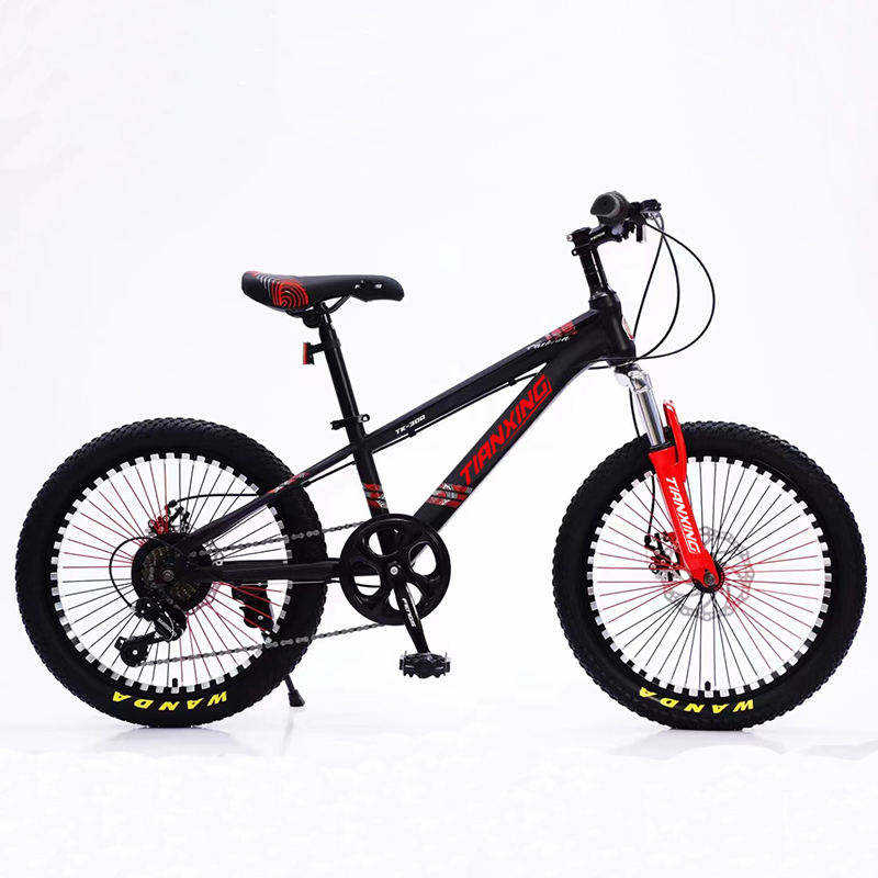 Free Shipping High Carbon Steel Frame Bysicle Bicycle 20/22 Inch  Bicycle//velo Vtt Cycle for Men and Women 